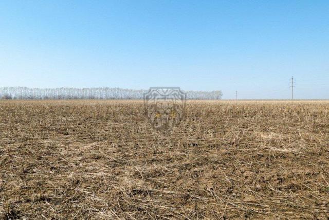 Коммерческая земля на продажу в Талдоме, деревня Мякишево, фото №2