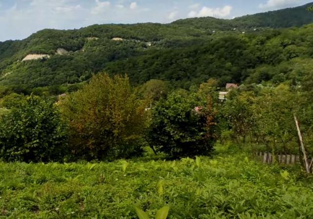 Участок на продажу в Дедерком, с/т Светлячок фото №0