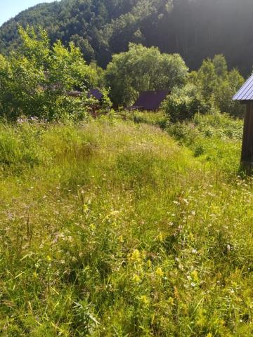 Коммерческая земля на продажу в Листвянке, улица Чапаева, 50А фото №6