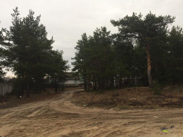 Участок на продажу в Большом Козино, Мира ул. фото №1