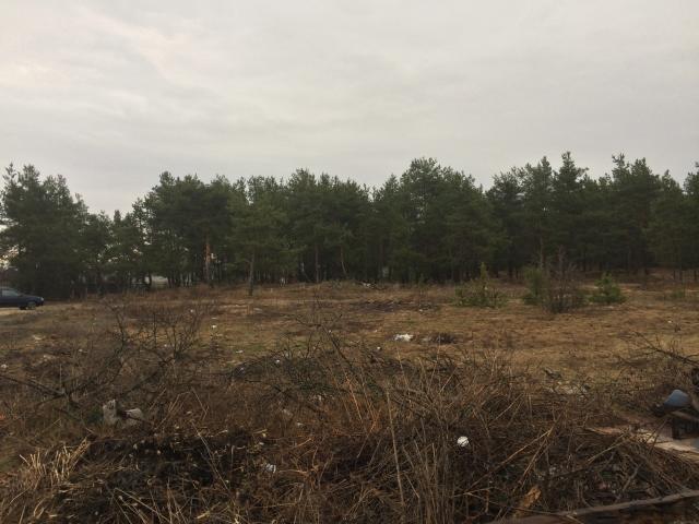 Участок на продажу в Большом Козино, Мира ул. фото №6
