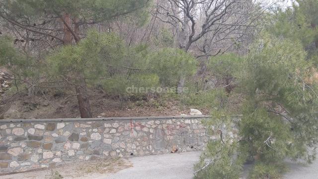 Участок на продажу в Береговом, улица Кипарисная фото №2