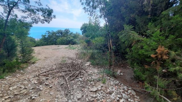 Участок на продажу в Береговом, улица Кипарисная фото №3