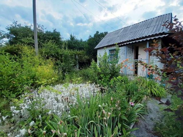 Дача на продажу в Шопино, СНТ фото №4