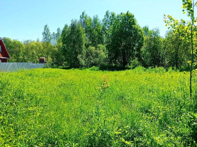 Участок на продажу в Озеро, коттеджный посёлок Финская Деревня улица, д.24 фото №1