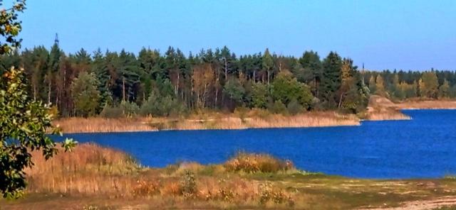 Участок на продажу в Каргалозе, 6 фото №12