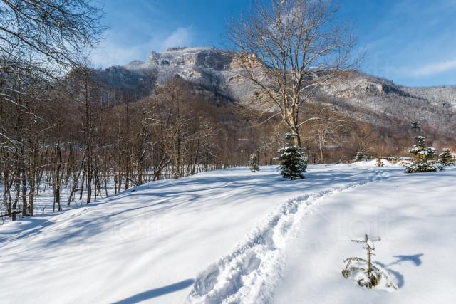 Участок на продажу в Кировском, Лесная, 9 фото №0