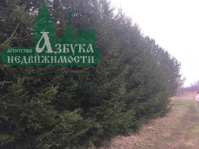 Дача на продажу в Селезневщине, ул. Дорожная, 1,91А фото №4