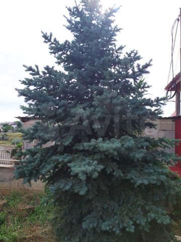 Дом на продажу в Осипенко, Ветеранов улица, д.40 фото №18