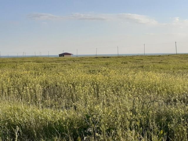 Участок на продажу в Веселовке, Спортивная ул. фото №4