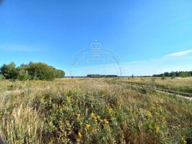 Участок на продажу в Больших Ключах, Большие Ключи, 91 фото №12