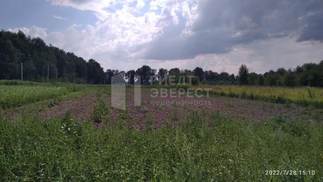 Участок на продажу в Федоровке, Федоровка с. фото №1