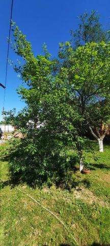 Дом на продажу в Малоярославце фото №6