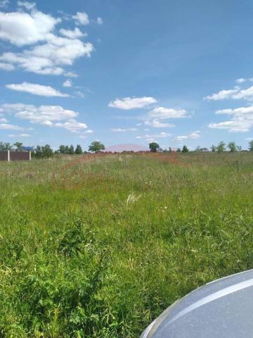 Участок на продажу в Новоживотинном, Школьная улица, 41 фото №0