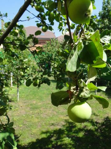 Дом на продажу в Ростове-на-Дону, Памятная улица, фото №9