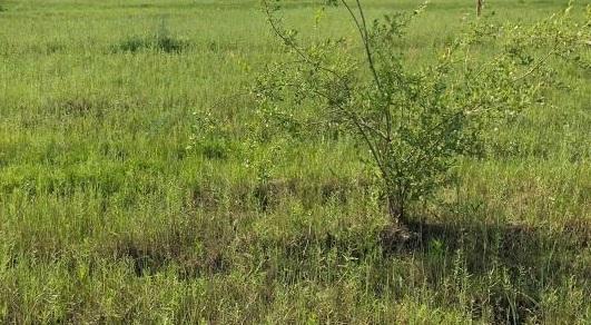 Участок на продажу в ауле Агуй-Шапсуг, Шапсугская улица фото №0