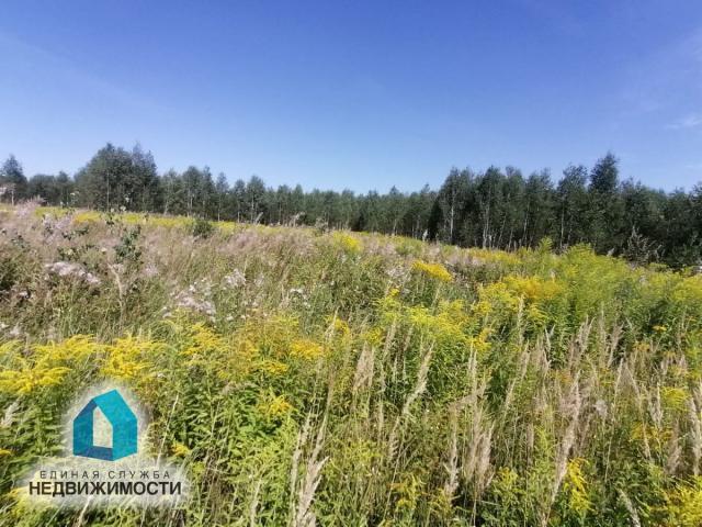 Участок на продажу в Ступино фото №12