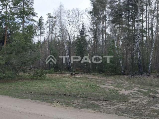 Участок на продажу в Староживотинном, улица Санникова фото №4
