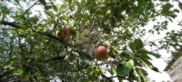 Дом на продажу в Городище, Коммунистическая улица фото №14