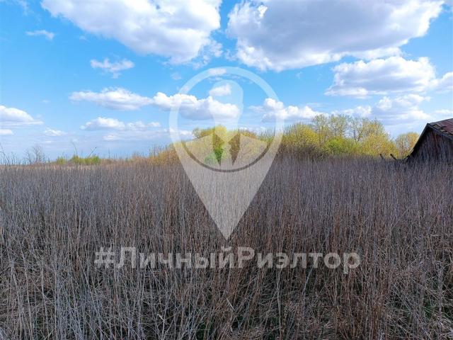 Участок на продажу в Николе-Скопине, ул Центральная, д. 2 фото №3
