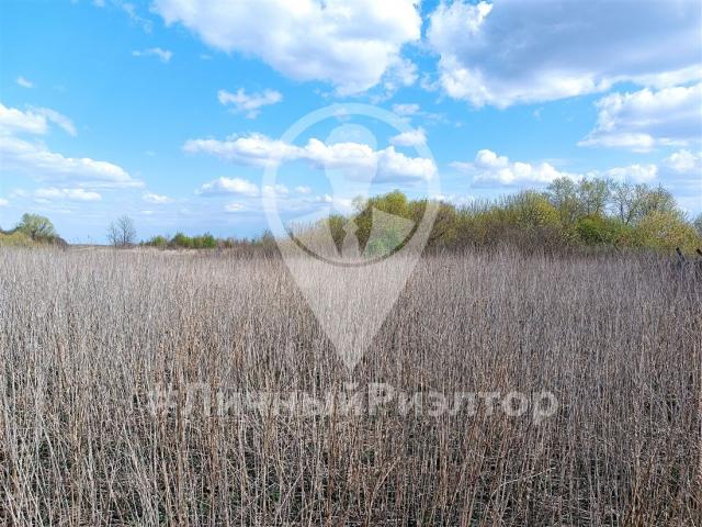 Участок на продажу в Николе-Скопине, ул Центральная, д. 2 фото №4