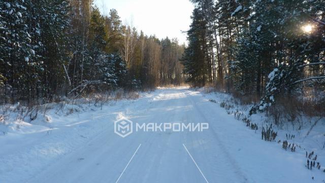 Коттедж на продажу в Сосновке, Центральная ул., 35 фото №18