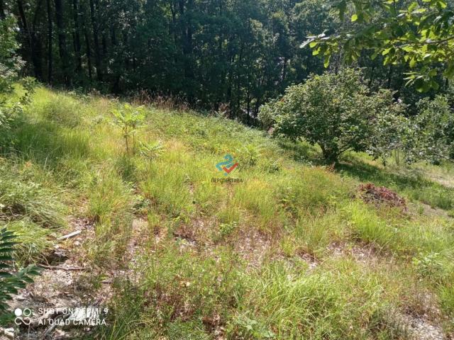 Участок на продажу в Вольном, Приморский переулок фото №12