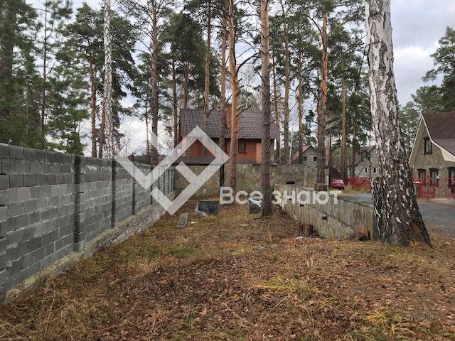 Участок на продажу по адресу Россия, Челябинская область, ДНТ Чайка, 52Б фото №0
