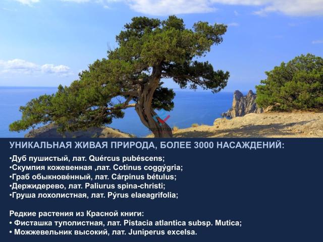 Квартира на продажу в посёлке Семидворье,  городской округ Алушта,  посёлок Семидворье  фото №4