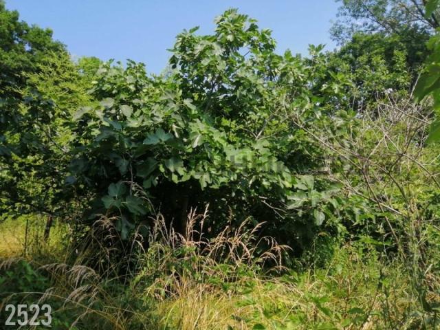 Дом на продажу в Туапсе, Луговая улица, 10 фото №4