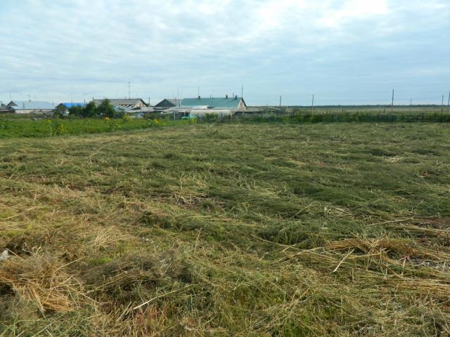 Дом на продажу в Теренкуле, ул. Мира, 65 фото №3