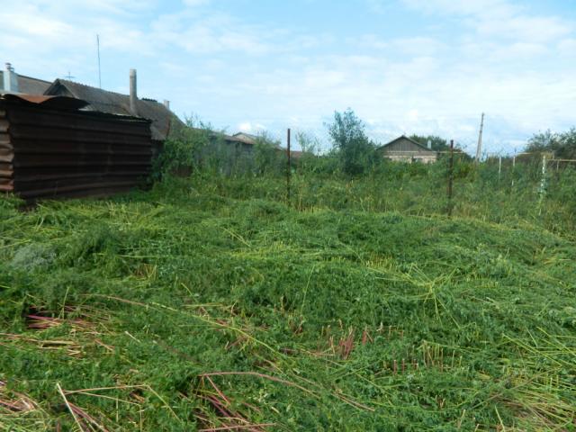 Дом на продажу в Теренкуле, ул. Мира, 65 фото №4