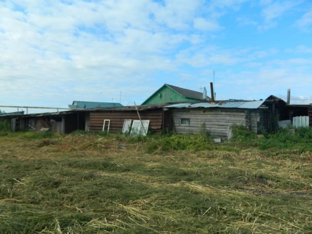 Дом на продажу в Теренкуле, ул. Мира, 65 фото №5