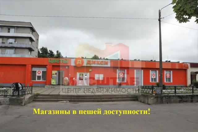 Участок на продажу в Оржице, Оржицы д фото №4