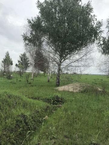 Участок на продажу в Девице, Молодежная, 17 фото №2