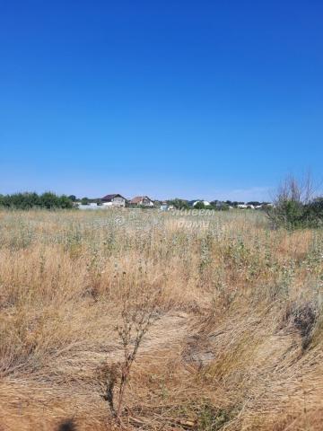 Участок на продажу в Госпитомнике, СПК Озерное фото №0