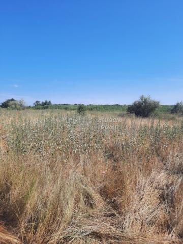 Участок на продажу в Госпитомнике, СПК Озерное фото №1