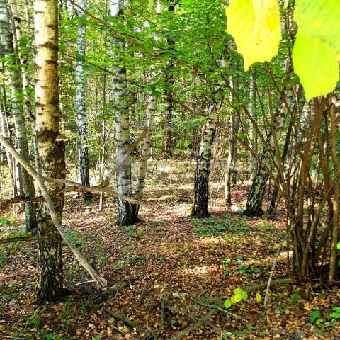 Участок на продажу в Жабкино, Троицкая улица фото №0