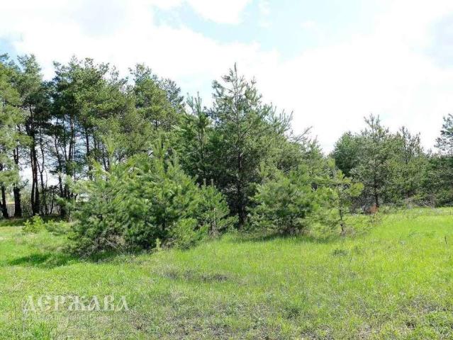 Дом на продажу в Озерках, , 1 фото №2