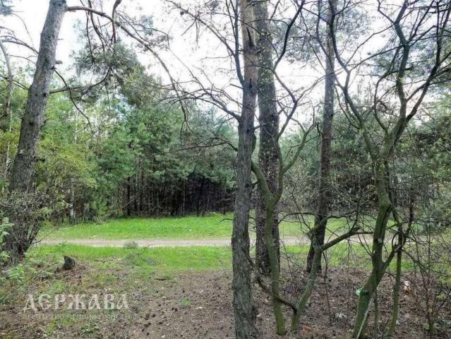 Дом на продажу в Озерках, , 1 фото №18