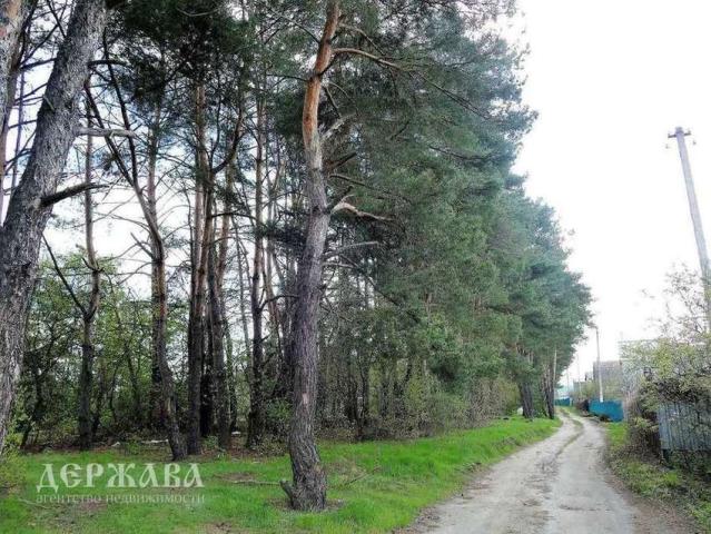 Дом на продажу в Озерках, , 1 фото №19