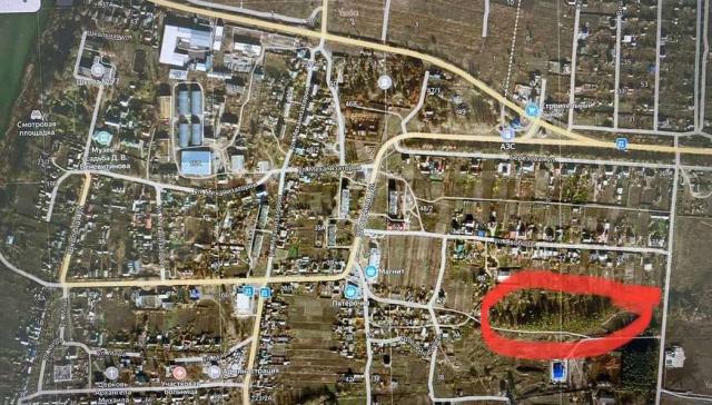 Участок на продажу в Новоживотинном, Шоссейная, 71 фото №1