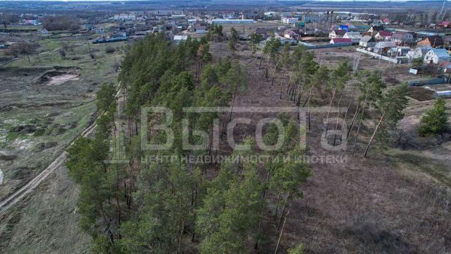 Участок на продажу в Новоживотинном, Шоссейная, 71 фото №2