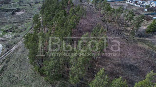 Участок на продажу в Новоживотинном, Шоссейная, 71 фото №3