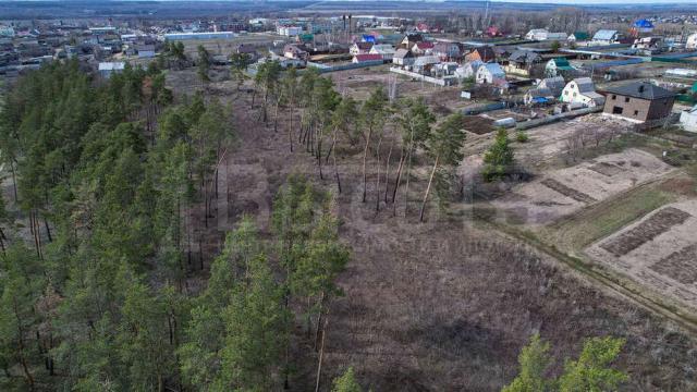 Участок на продажу в Новоживотинном, Шоссейная, 71 фото №4