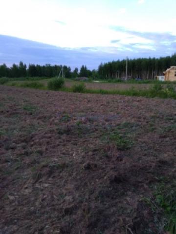 Участок на продажу в Тимонькино фото №0