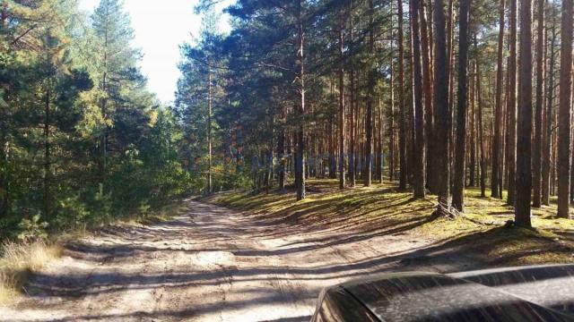 Участок на продажу в Тимонькино фото №4
