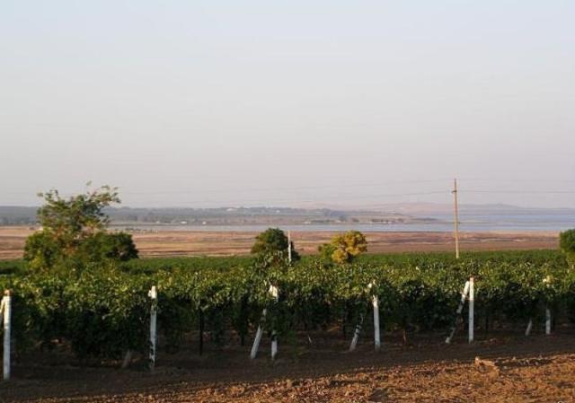 Участок на продажу в Артющенко, Восточная ул. фото №3