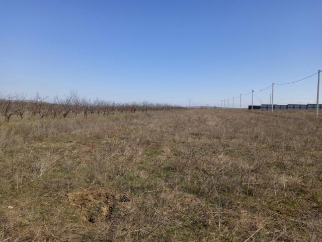 Участок на продажу в Сенное, Гвардейская ул. фото №2