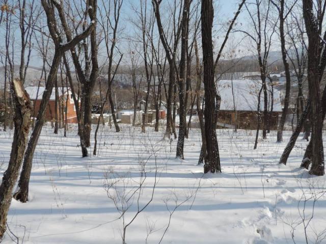 Участок на продажу в селе Владимиро-Александровское, Восточная улица, д.10 фото №4